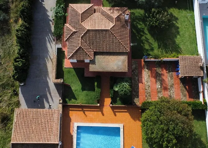 Fuente Del Gallo Nomada